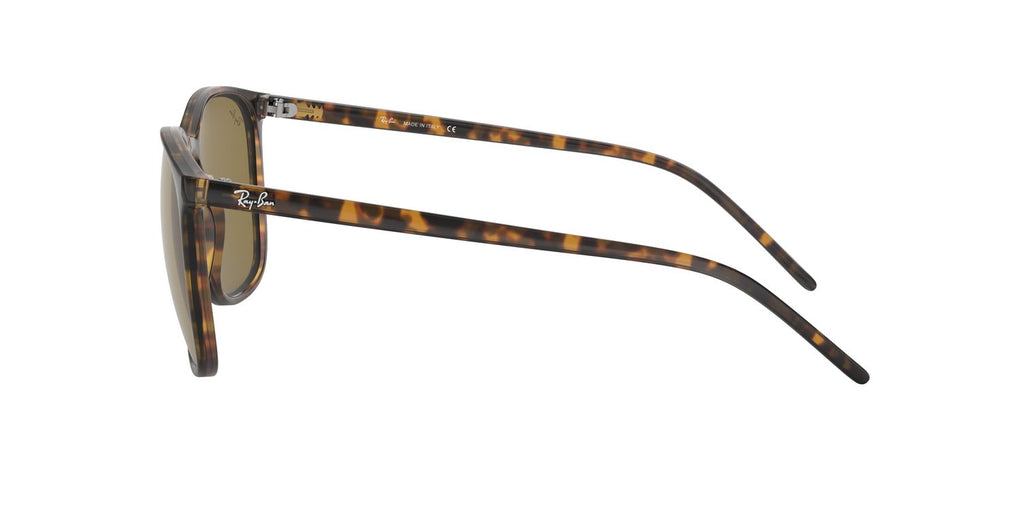 Ray-Ban | 0RB4387