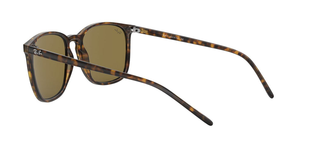 Ray-Ban | 0RB4387