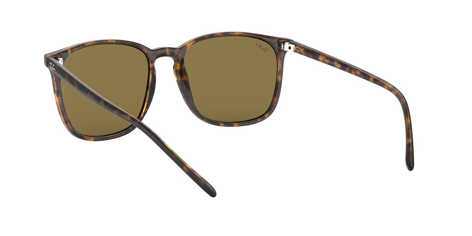 Ray-Ban | 0RB4387