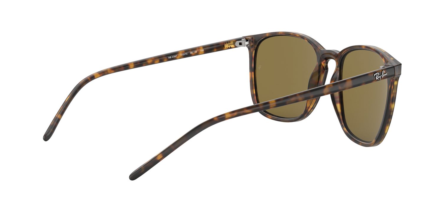 Ray-Ban | 0RB4387