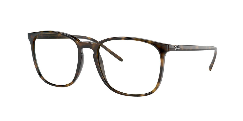 Ray-Ban | 0RB4387