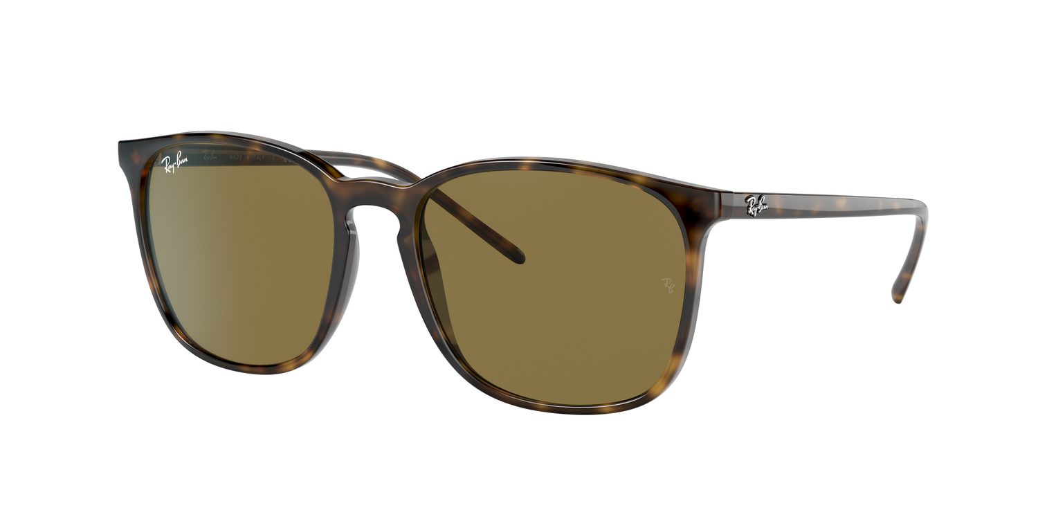 Ray-Ban | 0RB4387