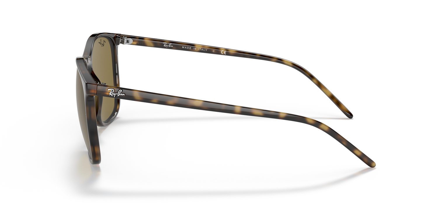 Ray-Ban | 0RB4387