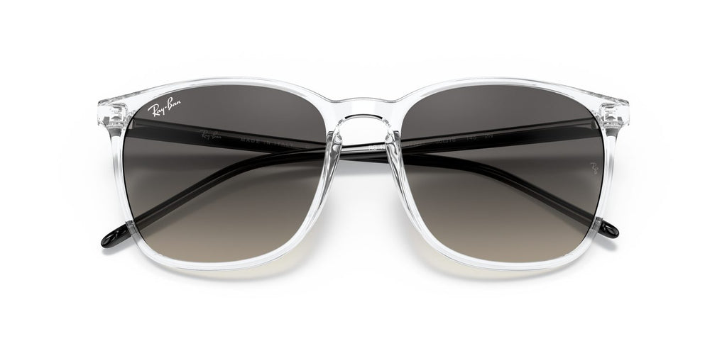 Ray-Ban | 0RB4387