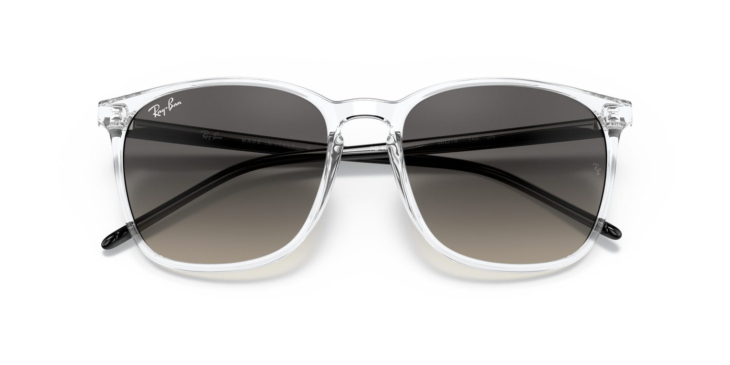Ray-Ban | 0RB4387