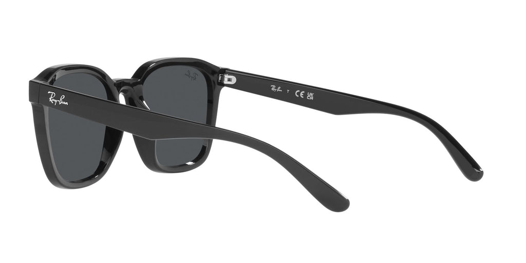 Ray-Ban | 0RB4392D