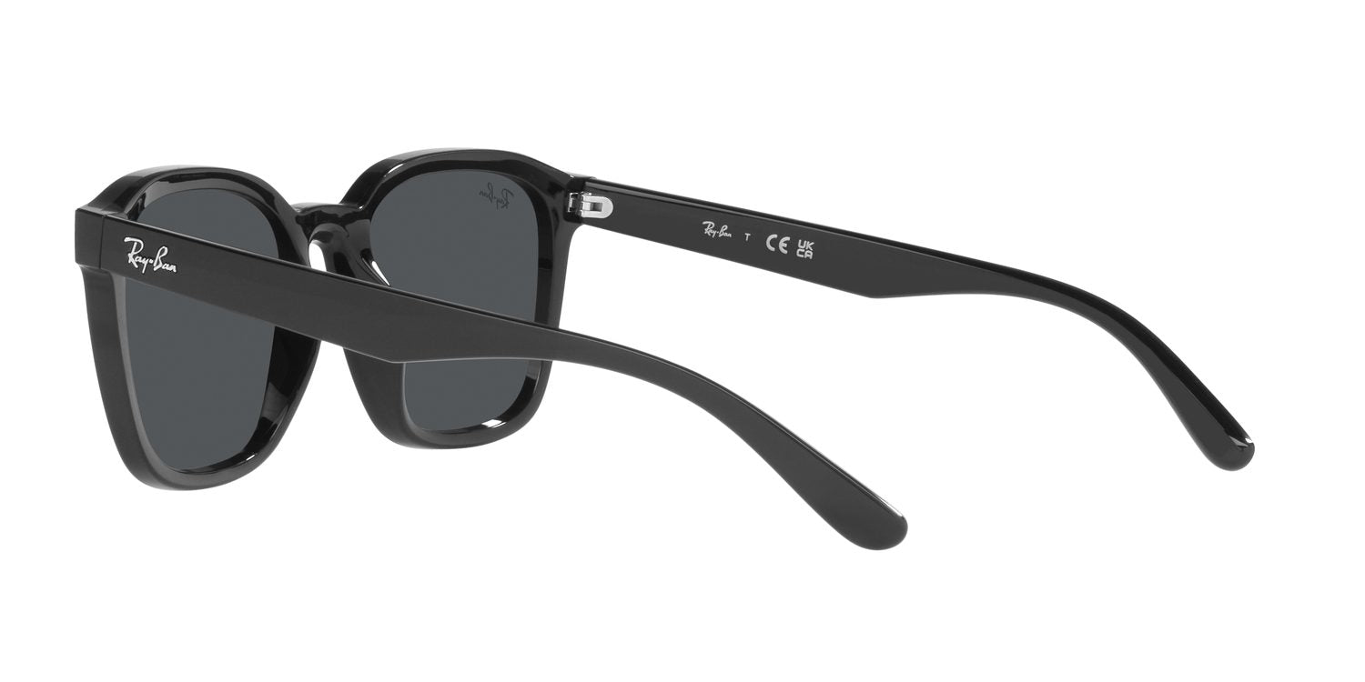 Ray-Ban | 0RB4392D