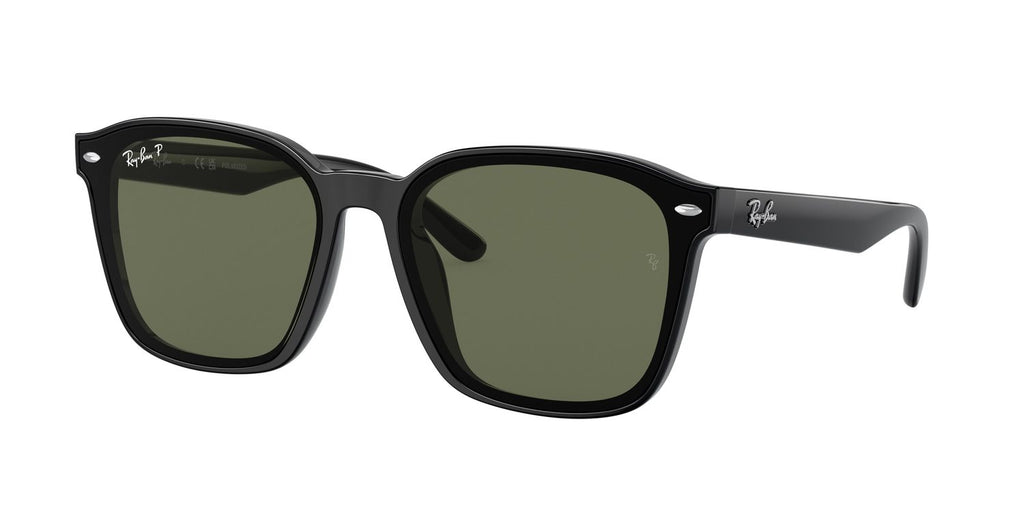 Ray-Ban | 0RB4392D