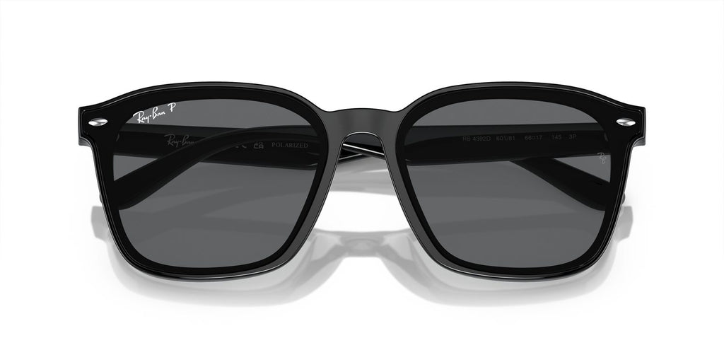 Ray-Ban | 0RB4392D