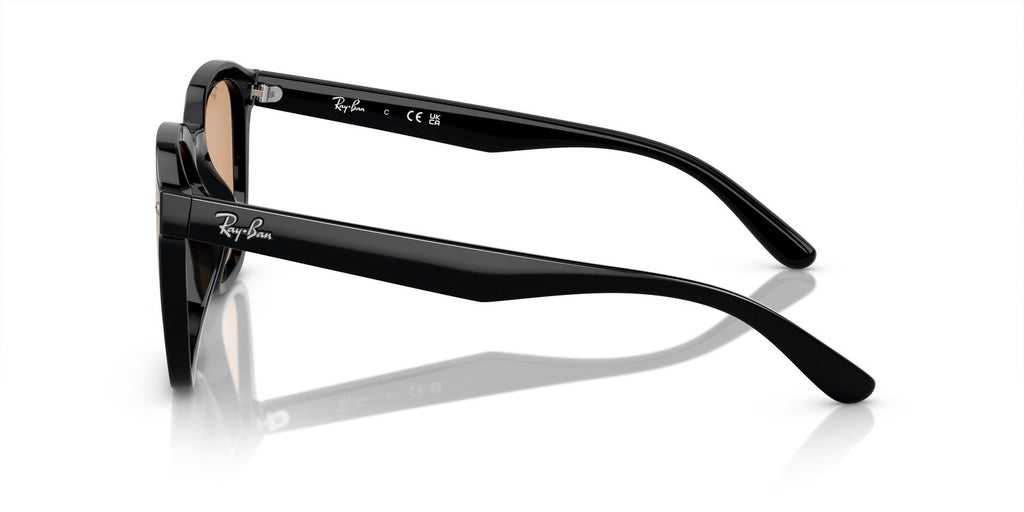 Ray-Ban | 0RB4392D