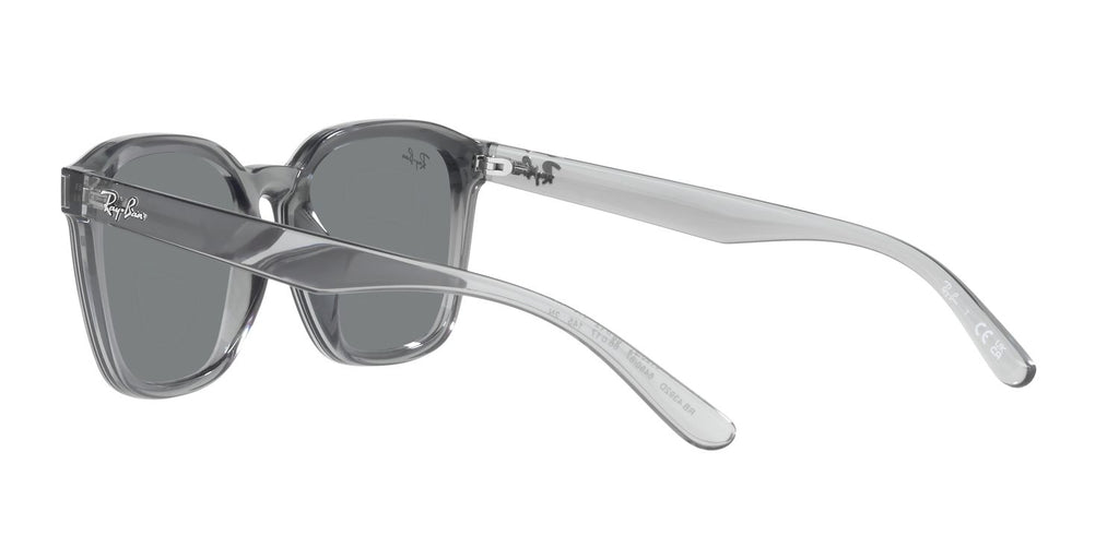 Ray-Ban | 0RB4392D