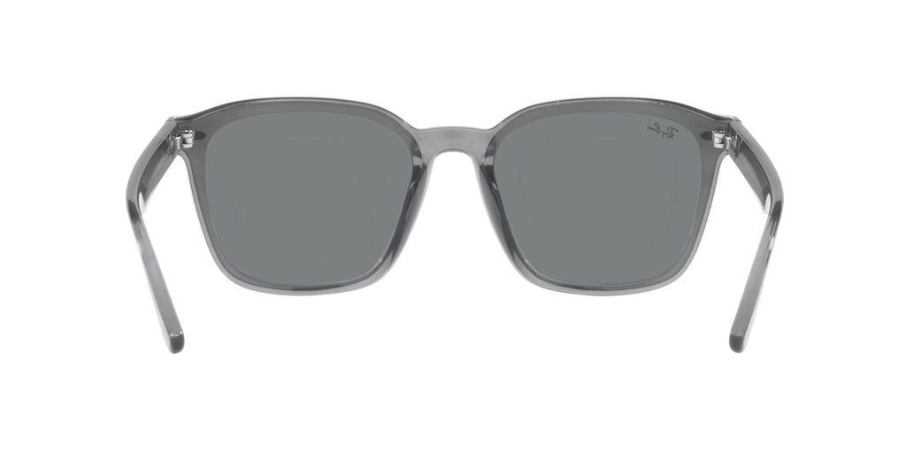 Ray-Ban | 0RB4392D