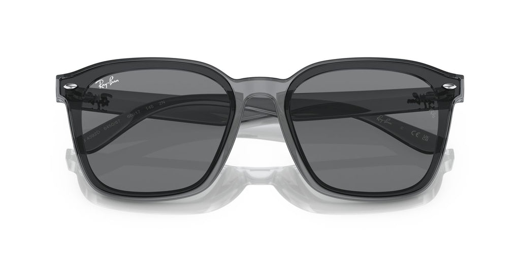 Ray-Ban | 0RB4392D