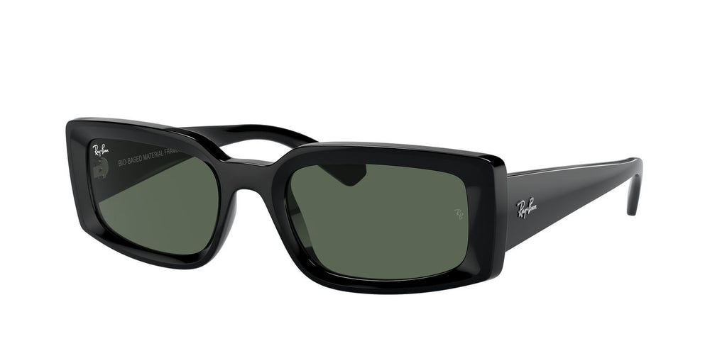 Ray-Ban | 0RB4395