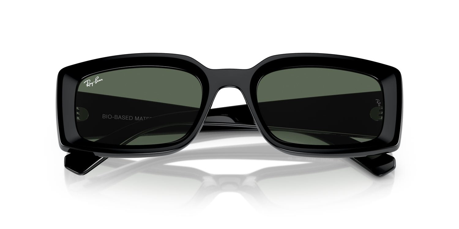 Ray-Ban | 0RB4395