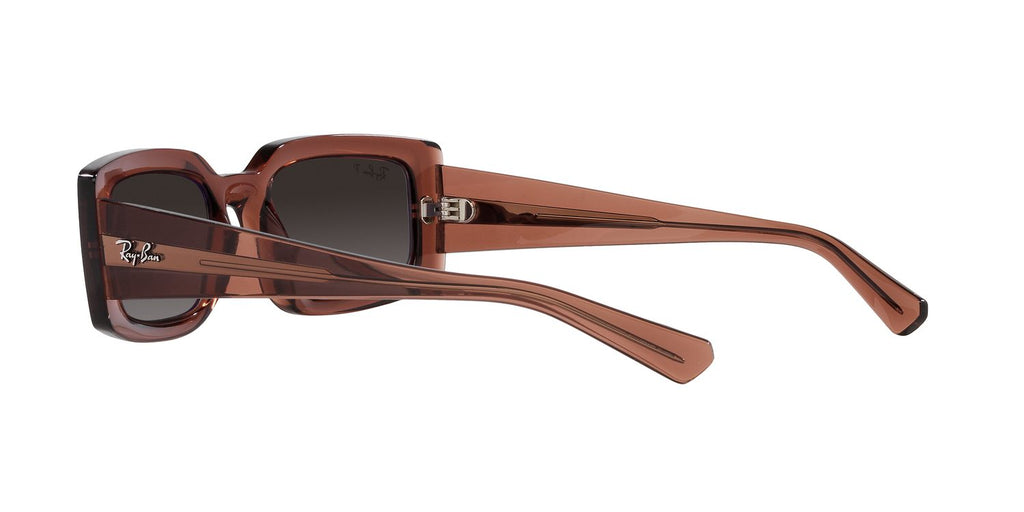 Ray-Ban | 0RB4395