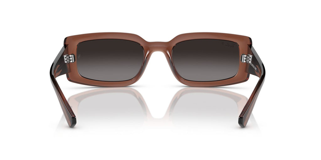 Ray-Ban | 0RB4395