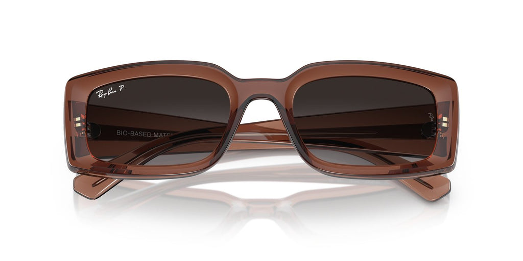 Ray-Ban | 0RB4395