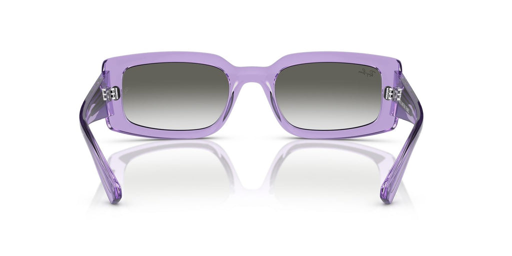 Ray-Ban | 0RB4395