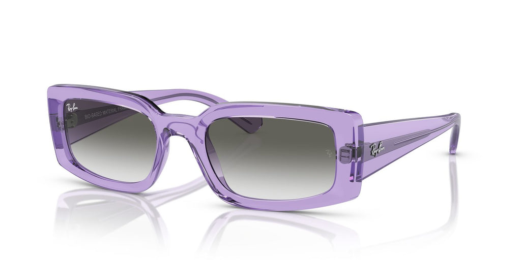 Ray-Ban | 0RB4395