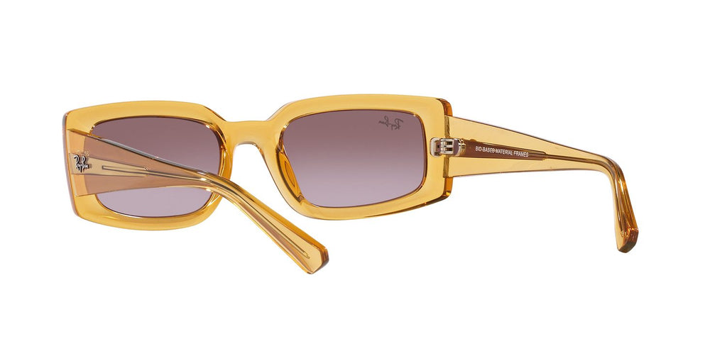Ray-Ban | 0RB4395