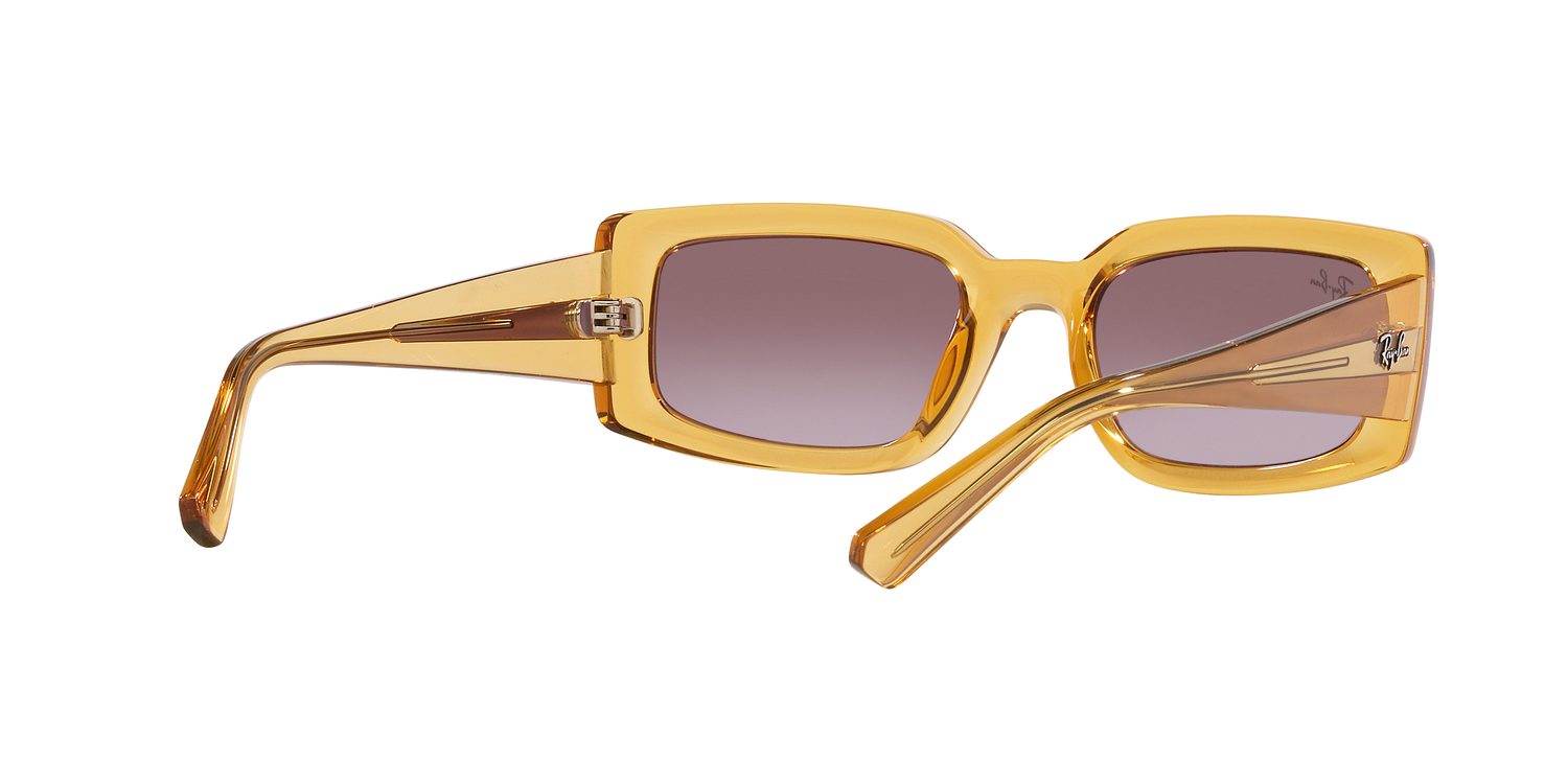 Ray-Ban | 0RB4395