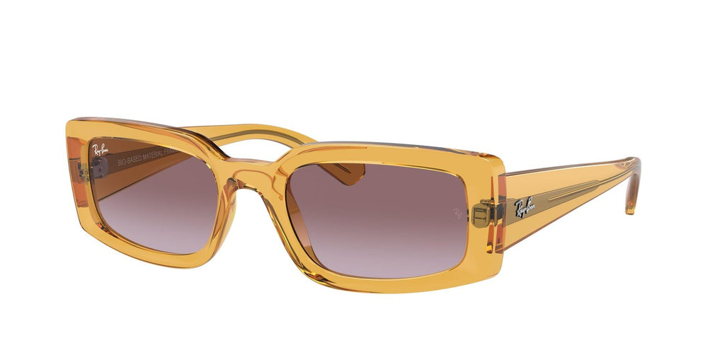 Ray-Ban | 0RB4395
