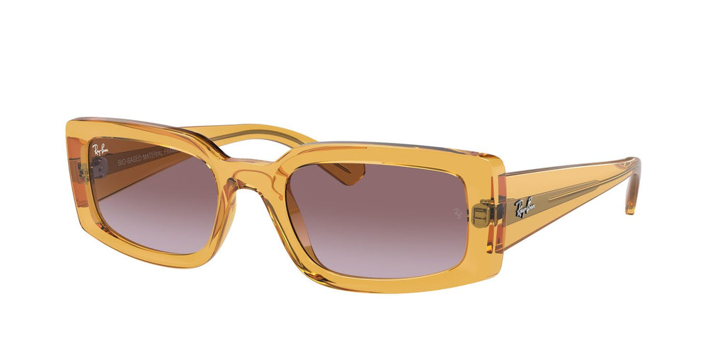 Ray-Ban | 0RB4395