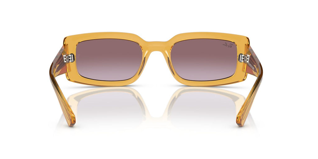 Ray-Ban | 0RB4395
