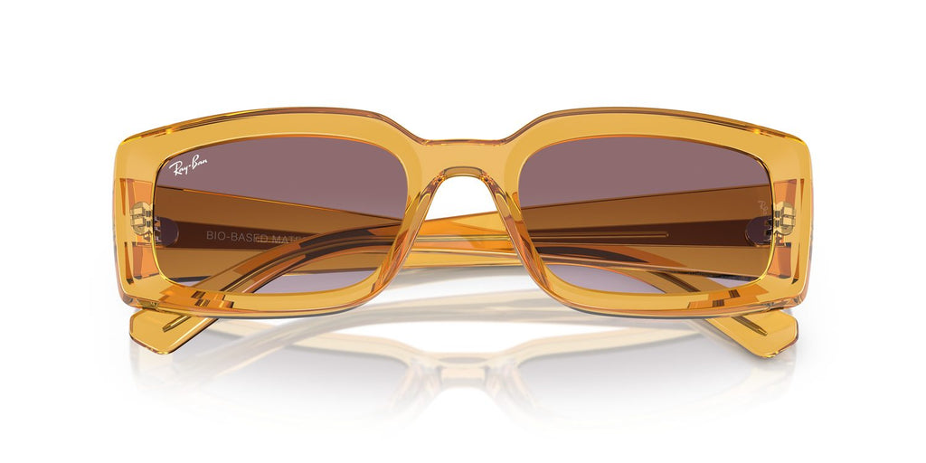 Ray-Ban | 0RB4395