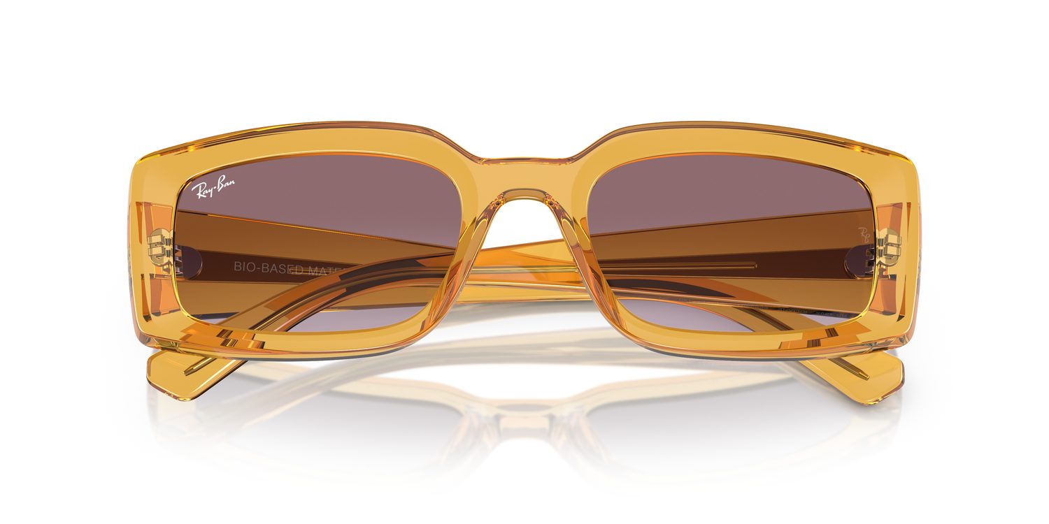 Ray-Ban | 0RB4395