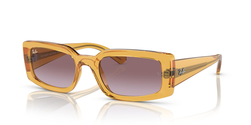 Ray-Ban | 0RB4395