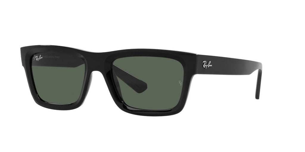 Ray-Ban | 0RB4396