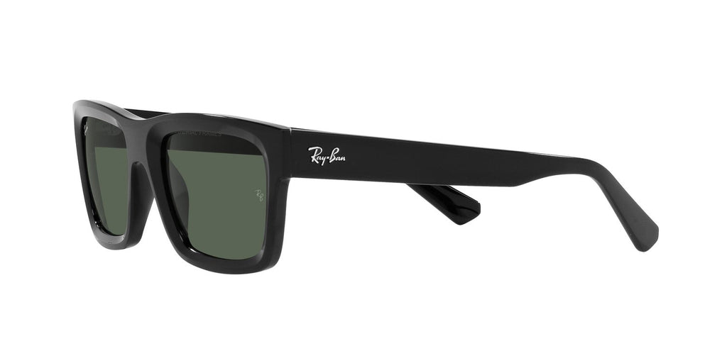 Ray-Ban | 0RB4396