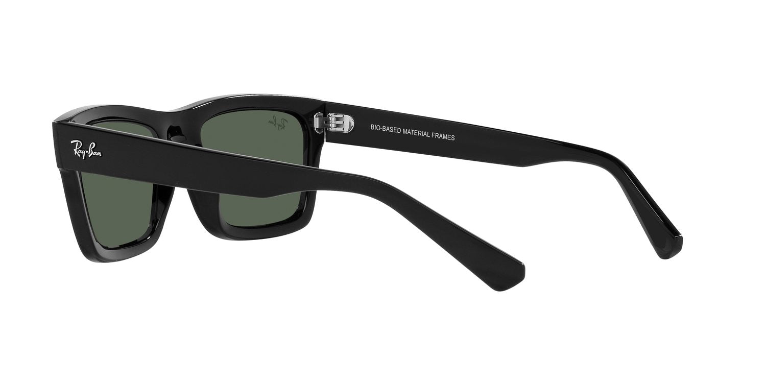 Ray-Ban | 0RB4396