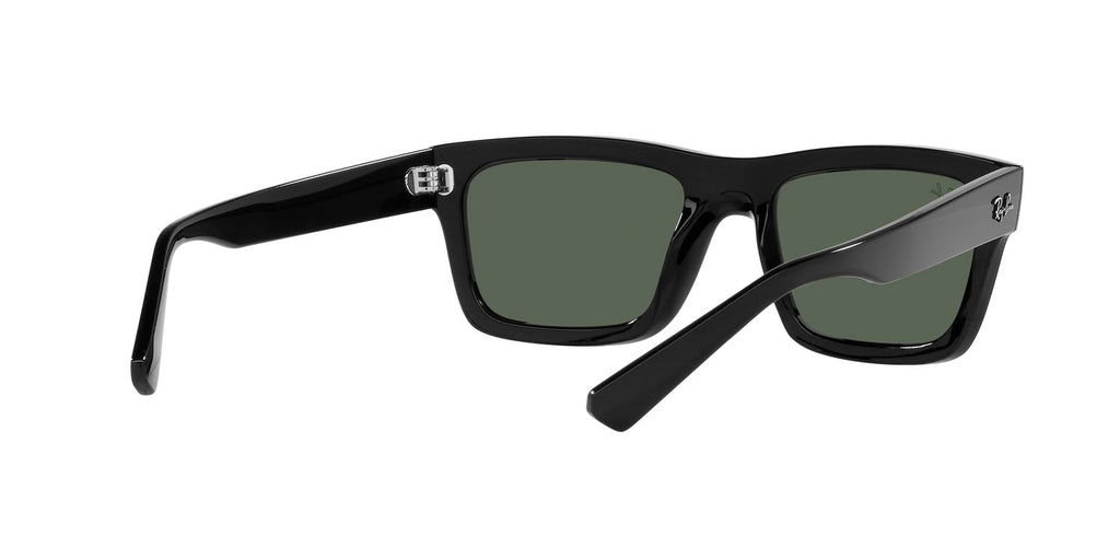 Ray-Ban | 0RB4396