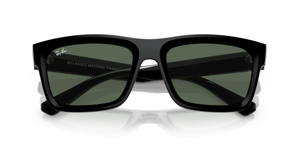 Ray-Ban | 0RB4396