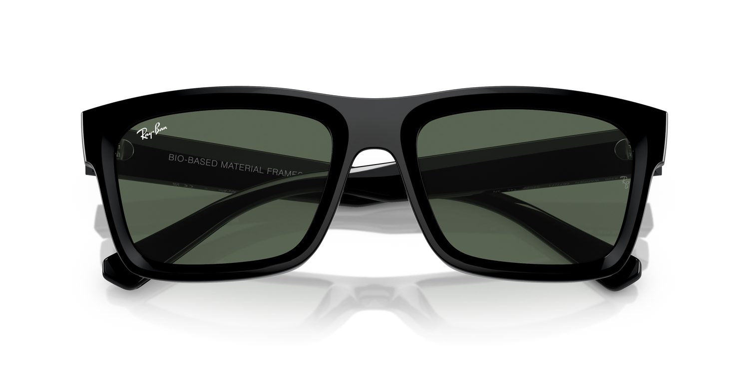 Ray-Ban | 0RB4396