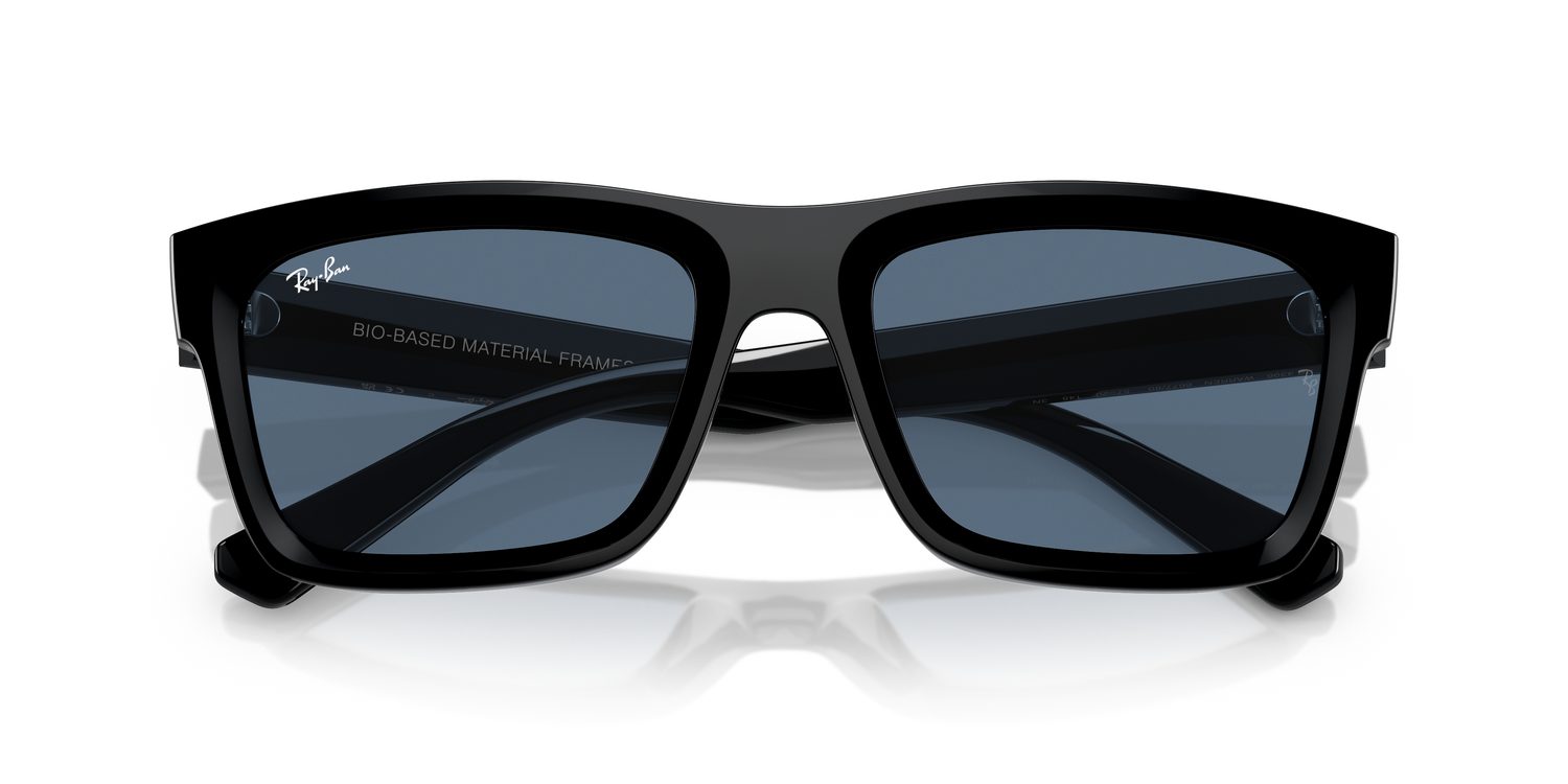 Ray-Ban | 0RB4396