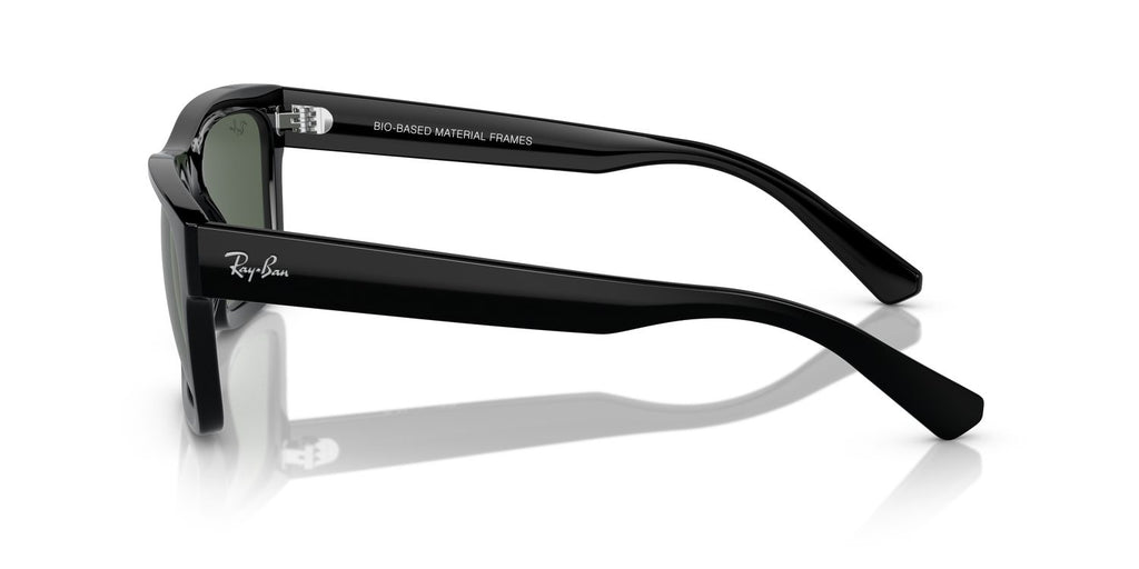 Ray-Ban | 0RB4396