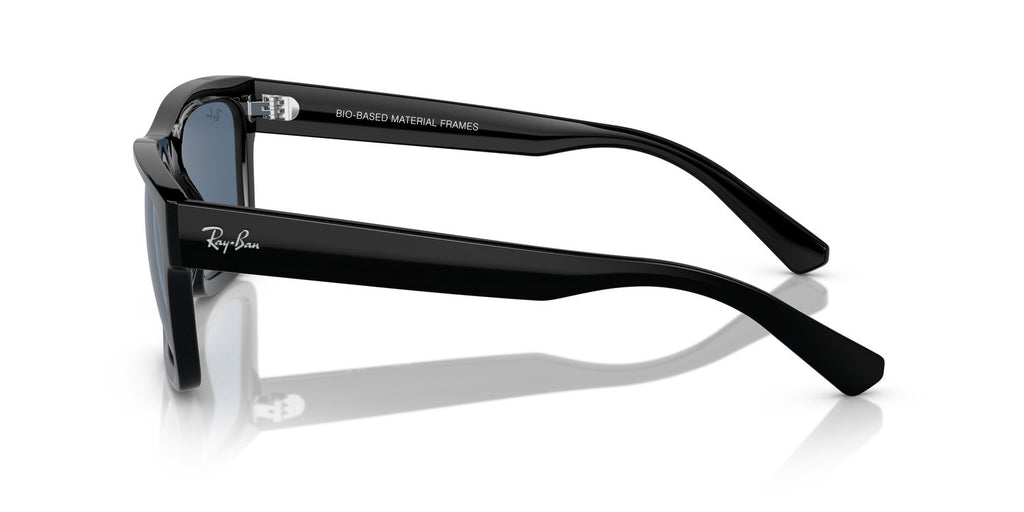 Ray-Ban | 0RB4396
