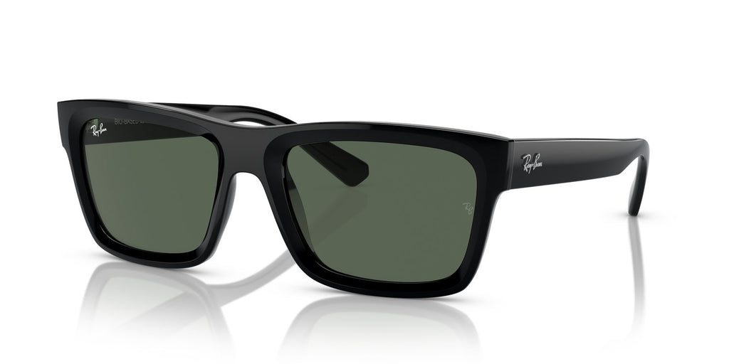 Ray-Ban | 0RB4396