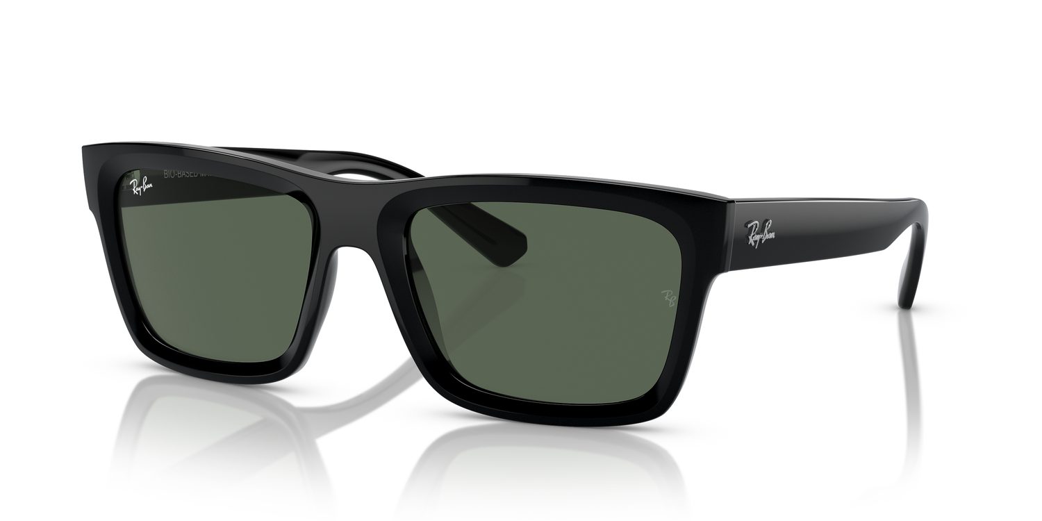 Ray-Ban | 0RB4396