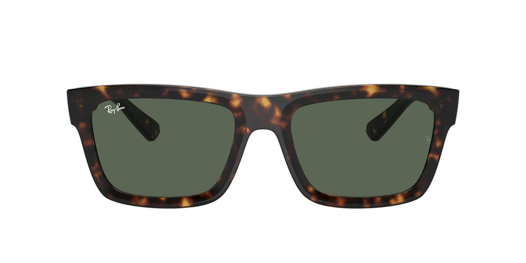 Ray-Ban | 0RB4396