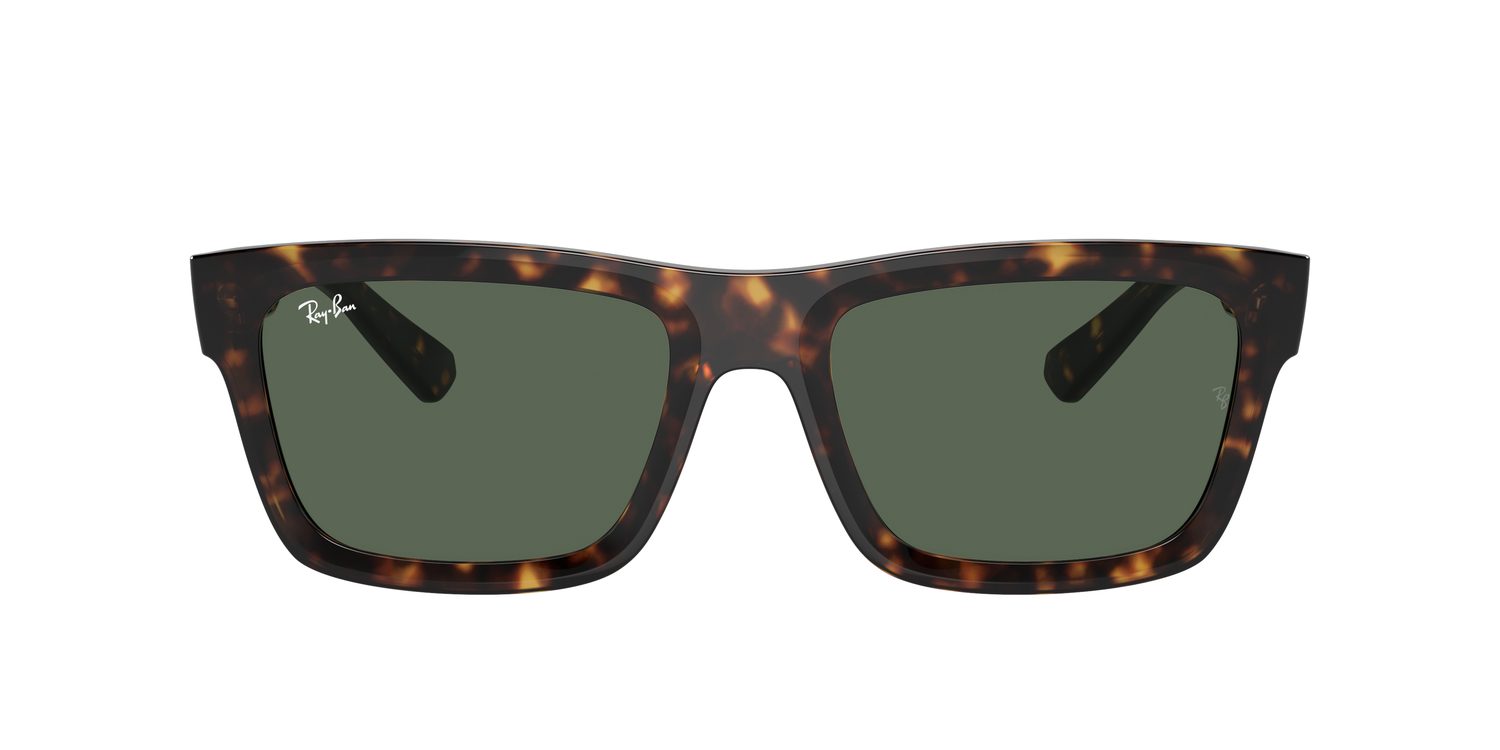 Ray-Ban | 0RB4396