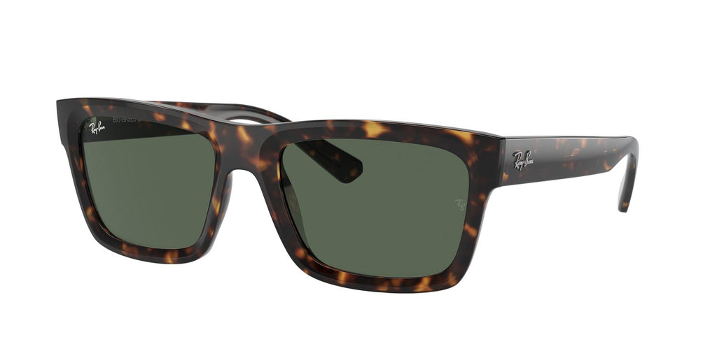 Ray-Ban | 0RB4396