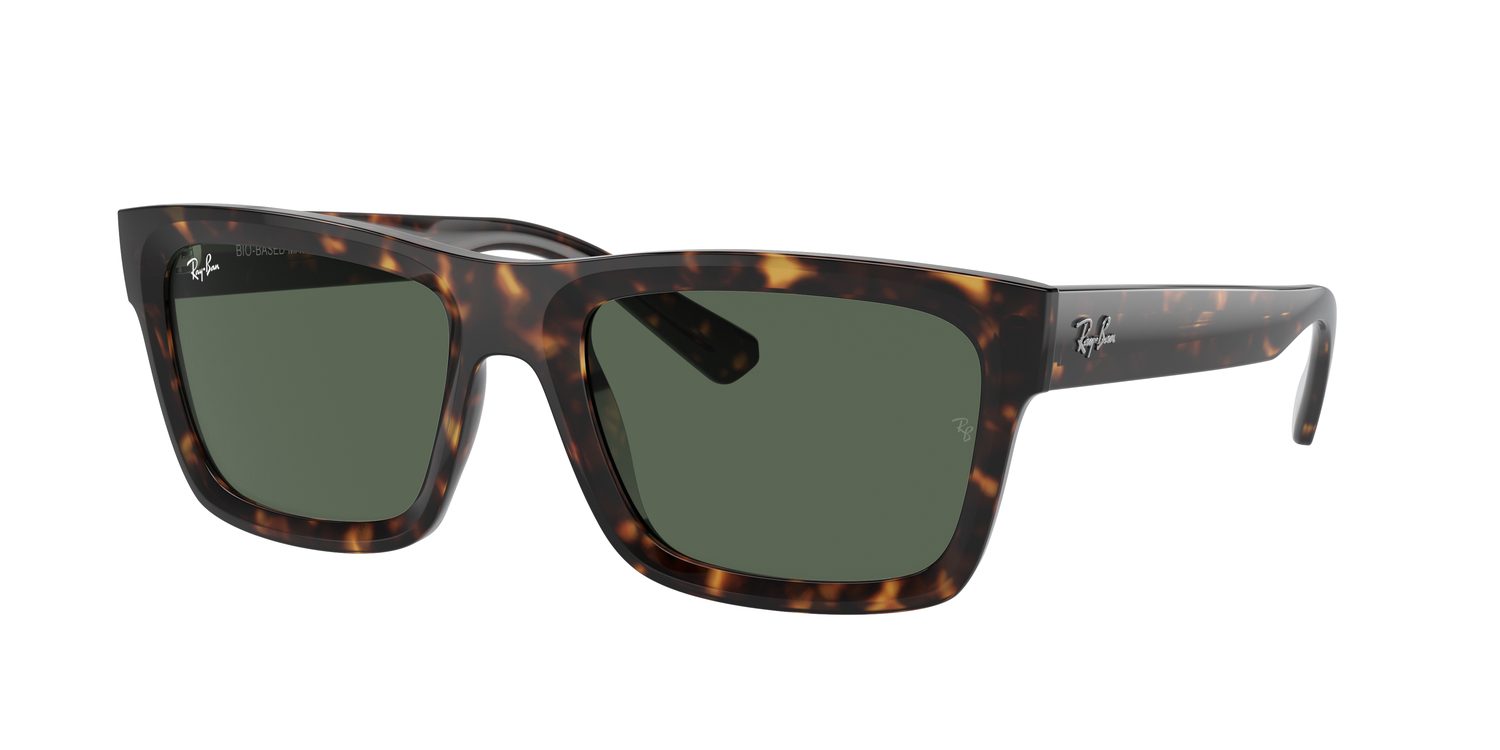 Ray-Ban | 0RB4396