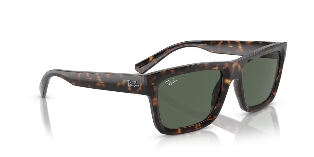 Ray-Ban | 0RB4396