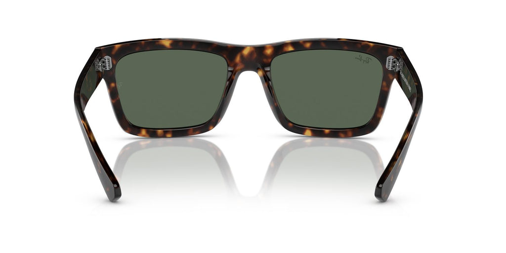Ray-Ban | 0RB4396