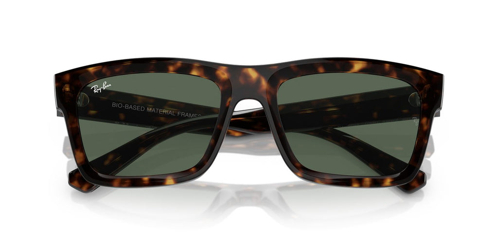 Ray-Ban | 0RB4396